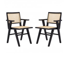 MAHIMART AND HANDICRAFTS Atticus Armchair (Set of 2)